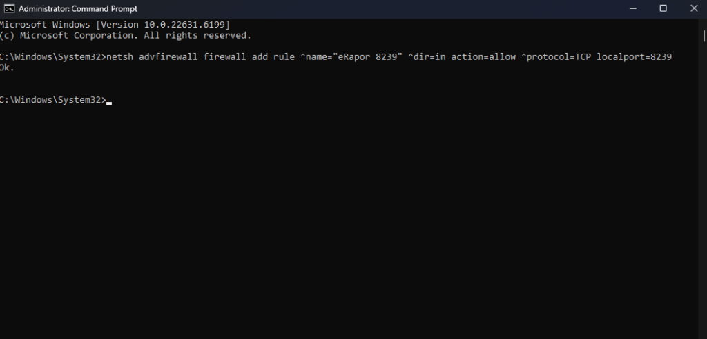 Running Script Command Prompt