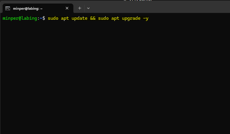 Update System & Upgrade Linux